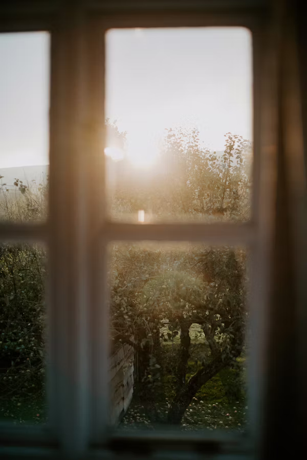 Morning light through a quiet window